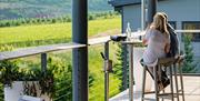 two people sitting on the Tasting Room balcony over looking vines