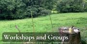graphic with image of green meadow and trees and the words Workshops and groups. A variety of nature based workshops for teambuilding and company well