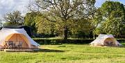 glamping tents