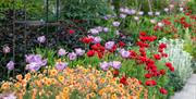 Elizabethan walled garden with colourful flowers