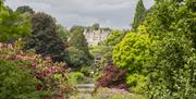 View across a lake and waterfall looking towards the mansion at Sheffield Park and Garden.