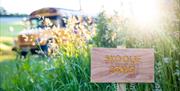Skoolie Stays sign beside wildflowers in the Sussex countryside