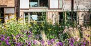 outside view of the restaurant with wild flowers in the foreground