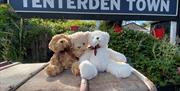 small soft bears sitting on luggage in front of large railway sign