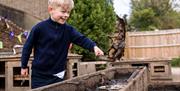 boy splashing a pan of mud in the Mud Kitchen