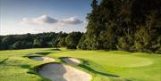Leonardslee Wine Golf West Sussex