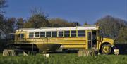 Unique glamping bus in a private meadow in West Sussex surrounded by nature