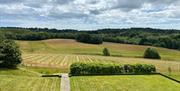 The vineyard