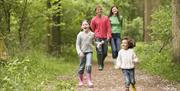a family walking on the trail through woodland