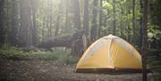 a tent pitched in woods