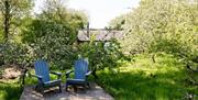 two chairs in the green leafy shade on decking in the garden