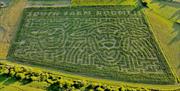 Aerial view of the seven-acre maize maze at South Farm Rodmell near Lewes, East Sussex, with the farm name and 2026 two sheep heads design cut into th