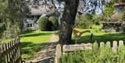 The ancient thatched farmhouse framed by a scots pine and gardens.
