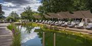 South Lodge spa exterior, pool and loungers