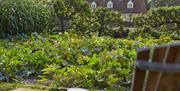 outside seating beside the produce garden and orchard