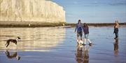 family walking the dogs on the sandy at birling gap with the cliffs behind them