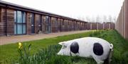 View of Piglets accommodation terrace of 4