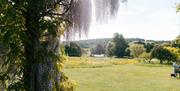 view from pergola